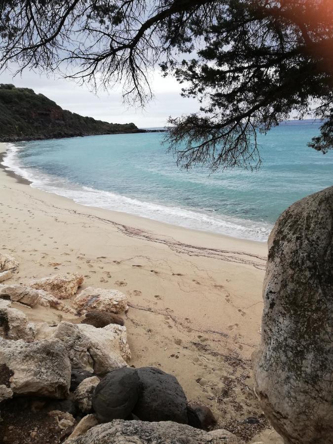 Appartamenti Le Conchiglie E Le Stelle Marine Cala Gonone Zewnętrze zdjęcie