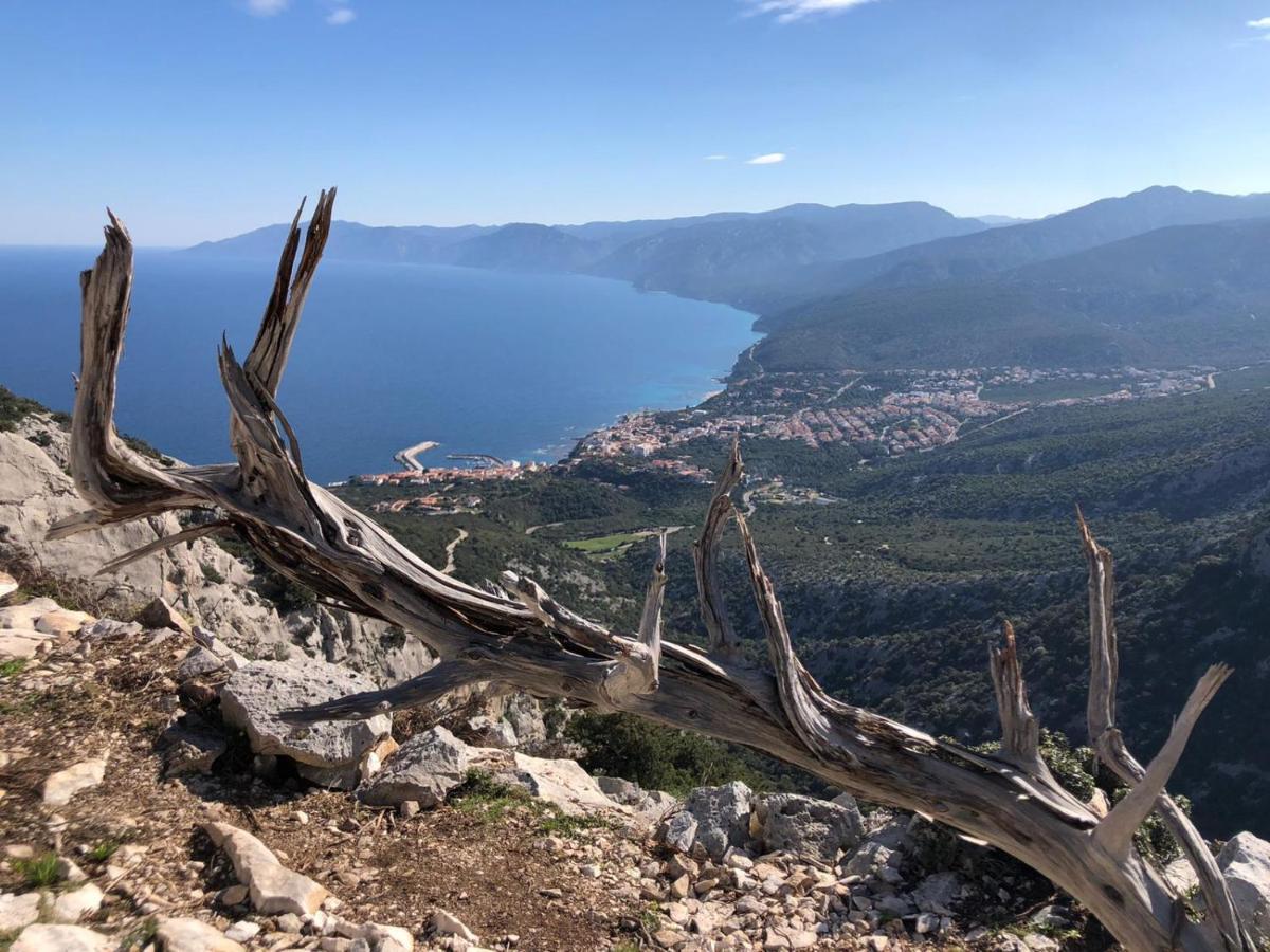 Appartamenti Le Conchiglie E Le Stelle Marine Cala Gonone Zewnętrze zdjęcie
