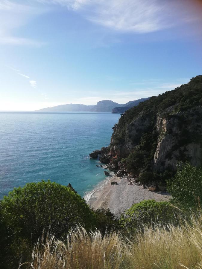Appartamenti Le Conchiglie E Le Stelle Marine Cala Gonone Zewnętrze zdjęcie