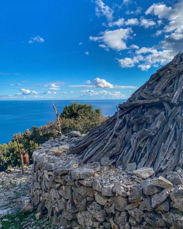 Appartamenti Le Conchiglie E Le Stelle Marine Cala Gonone Zewnętrze zdjęcie