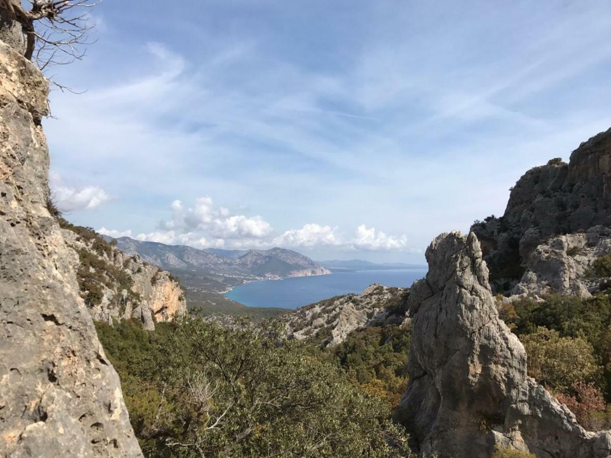Appartamenti Le Conchiglie E Le Stelle Marine Cala Gonone Zewnętrze zdjęcie