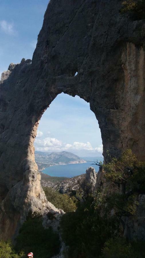 Appartamenti Le Conchiglie E Le Stelle Marine Cala Gonone Zewnętrze zdjęcie